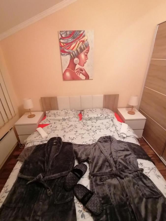 Apartman Dionis Sm Sremska Mitrovica Eksteriør billede